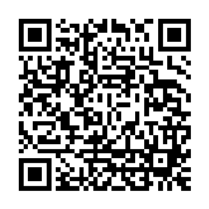 就代表本派五个上人中的两票――蓝翔双娇从来都是共进退的二维码生成