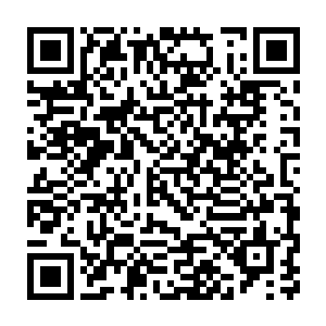 就以你们刚才的表现你们以为你们上了战场之后会有多少人会活下来二维码生成