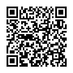 就以她如今人尊中期巅峰的水平也不够火云兽一巴掌拍的二维码生成