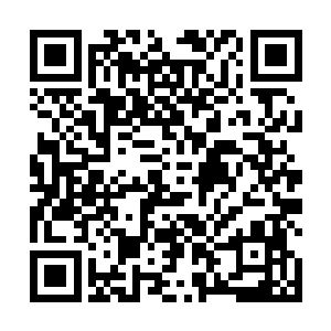 就仿佛……是某种巨型生物从地底爬出来时留下的痕迹二维码生成