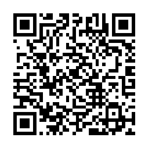 就仿佛斗兽人将一些体质好的斗兽集中在一个笼子里二维码生成