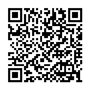 就仿佛是一面天墙似地将巨虎和云天从中间分开二维码生成