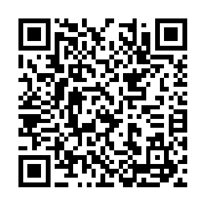 就仿佛是有一股无形的吸力自聚灵神山内扩散而出二维码生成