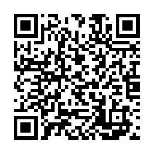 就仿佛是终于承认夏天有资格站在他身边的感觉一样二维码生成