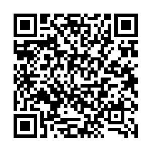 就仿佛李瑶瑶在她心中只不过是个可有可无的陌生人二维码生成