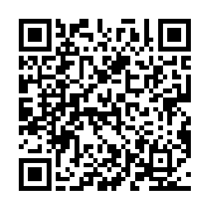 就仿佛自己主动把自己的胸口送到了秦方的拳头上似的二维码生成