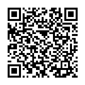 就仿佛这个结果早就已经在孙子轩的意料当中了一样二维码生成