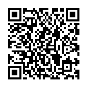 就仿佛遭遇了一次重击似的……四象乾坤鼎直接被撞飞了出去二维码生成