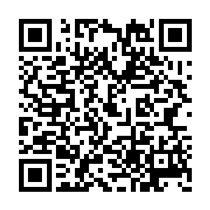 就会为闻人牧月和白破局争取到非常宝贵的时间二维码生成