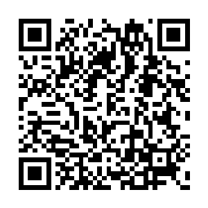 就会低头看着自己的裙裾……不过我不借她名帖二维码生成