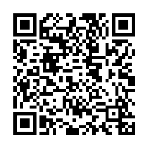 就会发现这些锁链实际上距离龙雷木的身躯有一尺距离二维码生成