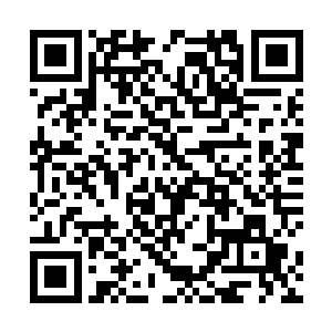 就会有一名被驯化的地精带领访客前往他需要去的房间二维码生成