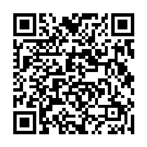 就会紧紧拉住那人的手带领他一往无前的向幸福奔去二维码生成