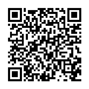 就会被它将蛇尾巴从鼻子里面塞进去从耳朵里面出来二维码生成