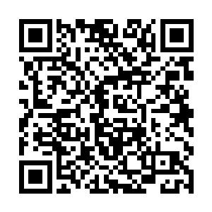 就传來对面几名长老那充满惊骇以及难以置信的声音二维码生成