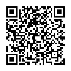 就似乎令它们回忆起了那些最为糟糕而惨痛的经历乃至恶梦二维码生成