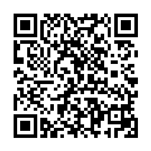 就你刚才那几下我也看出来了咱们俩谁杀谁灭口还要两说呢二维码生成