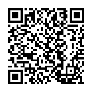 就你这太古神兽等级还想跟我变异神兽等级对抗二维码生成