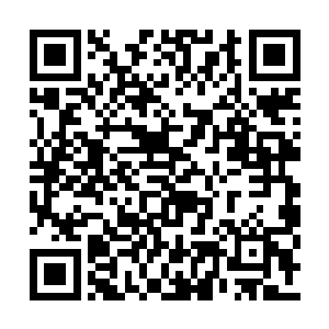 就例如天羽岛所有势力中排名第四的蓝眼冰狼族二维码生成