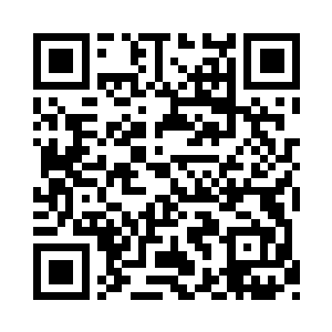 就像一群得到了自己最喜欢的玩具的小孩子二维码生成