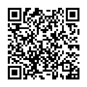 就像上次策划了那起别开生面的拍卖会一样的事情二维码生成