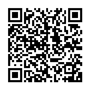 就像之前珍惜逃亡路上人类朝他砸过来的西红柿与臭鸡蛋一样二维码生成