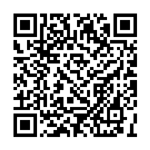 就像云达不莱梅的球迷们为进球的荣光送上掌声二维码生成