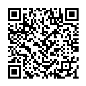 就像他也没有询问楚氏天族的族长为何生病一样二维码生成