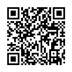 就像他明知道现在的海南汽车走私有利可图二维码生成