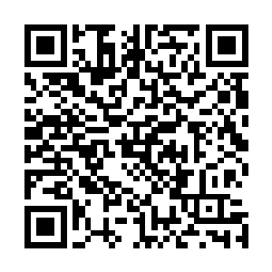 就像他进入洗尘楼前以为自己能够很轻松地战胜陈长生一样二维码生成