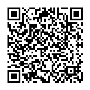 就像你们在世青赛前的集训一样……当时几乎所有人都觉得自己坚持不下来二维码生成