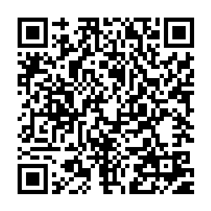 就像元素力量强大和精纯到一定程度后会诞生元素之灵和元素生物一样二维码生成