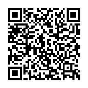 就像先前梓箐看到的在田地里劳作的那些NPC一样二维码生成