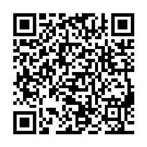 就像关心爱护自己的女儿一样关心爱护她……她怎么也想不到二维码生成