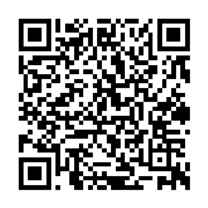 就像刚刚冬眠后正在复苏伸展开的……蠕虫一样二维码生成