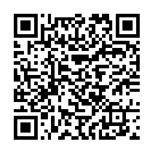 就像刚才索菲亚让她那小猫咬杨风并不是要让杨风死二维码生成