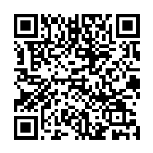 就像四大公子的另外两个芶延生和郭杰一样是烂兄烂弟一样二维码生成