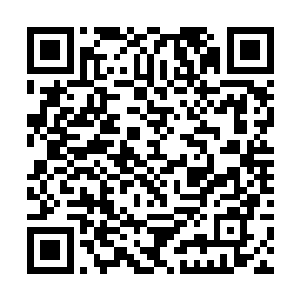 就像城里街头上的混混们打架也不会找刑捕报案一样二维码生成