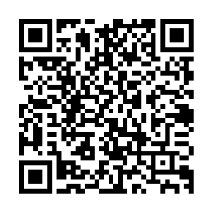 就像她用遮蔽天机的手段让这大长老误以为千手王淼投靠了幻盟二维码生成