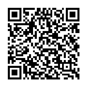 就像已经忘记了身上的被虫子所带来的疼痛一样二维码生成