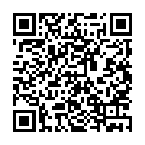 就像当初你也并不关心我们是否能在极冰界活下来一样二维码生成