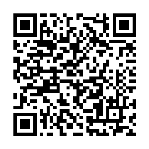 就像我不明白刘胜男和曲歌明明表现出彼此很喜欢二维码生成