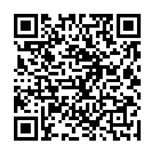 就像战在斗兽场的高台上看着一头朝着高台冲来的野兽二维码生成