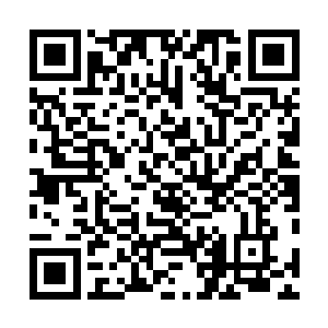就像是…他们被比自己更高一级的食物链的种族进行一次二维码生成