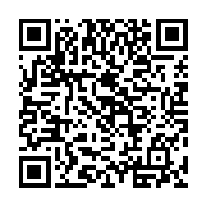 就像是一个塑料制造的半透明粗管中流淌着紫青色的液体二维码生成