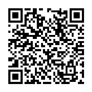 就像是一个巨大的绞肉机一般冲入了圣族军队之中二维码生成