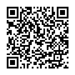 就像是一个普通法则之力十万点的人站在一个尊者面前一样二维码生成