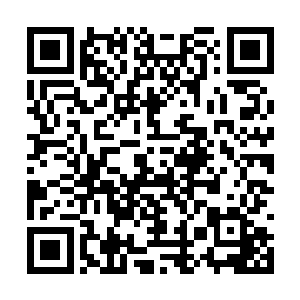 就像是一只随意能踩死的老鼠忽然变成了一条野狗二维码生成