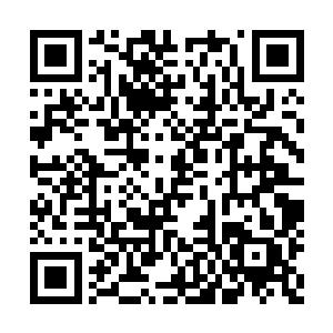 就像是一朵待采的小花悄悄的绽放在山野丛林里二维码生成