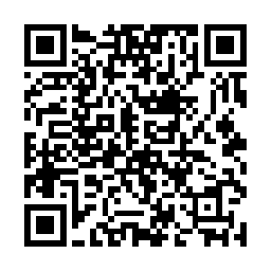 就像是一群刚刚在法宝流水线上完成组装的灵能傀儡二维码生成